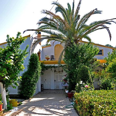 Villa Elena Studios ذيسْخا المظهر الخارجي الصورة